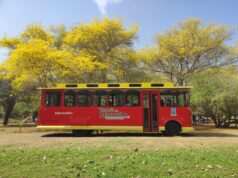 Tranvía de Maracaibo impulsa el turismo con ruta al Jardín Botánico