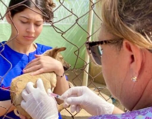 Ministerio de Salud y Gobernación del Zulia impulsan Plan de Vacunación Canina