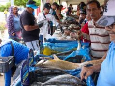 Feria del Pescado de la Alcaldía llegó a la Curva de Molina