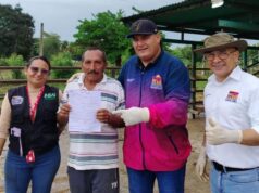 Alcaldía de Maracaibo inicia vacunación de 4.700 bovinos contra la fiebre aftosa