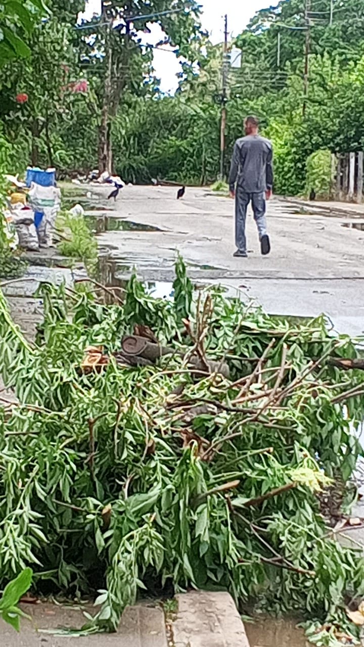 Denuncian habitantes: Más de 25 fallecidos en municipio Sosa de Barinas presuntamente por el virus de Guanarito