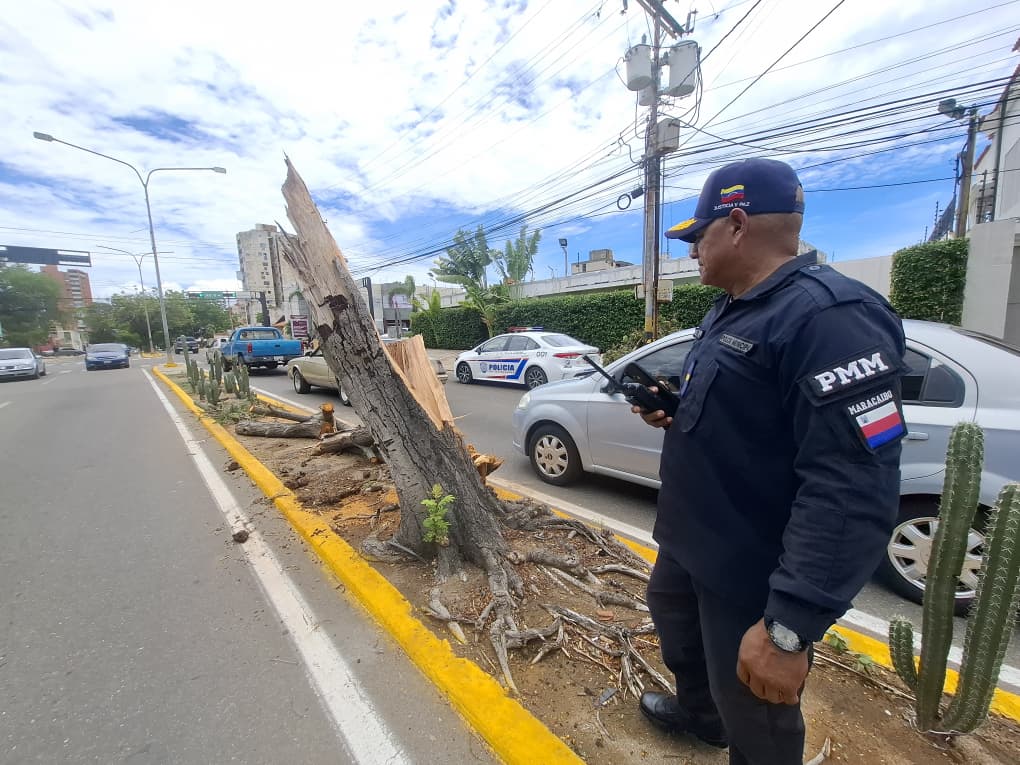 Alcaldía y Polimaracaibo en alerta en la calle ante las precipitaciones