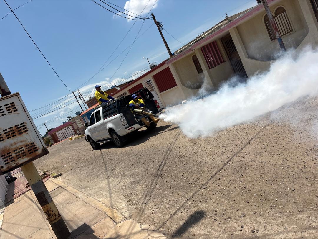 Alcaldía de Maracaibo fumigó en Francisco E. Bustamante, Cecilio Acosta, y Raúl Leoni