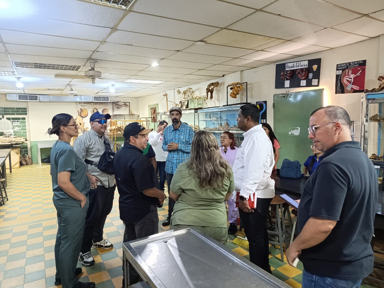 Inspeccion-FCV.jpg