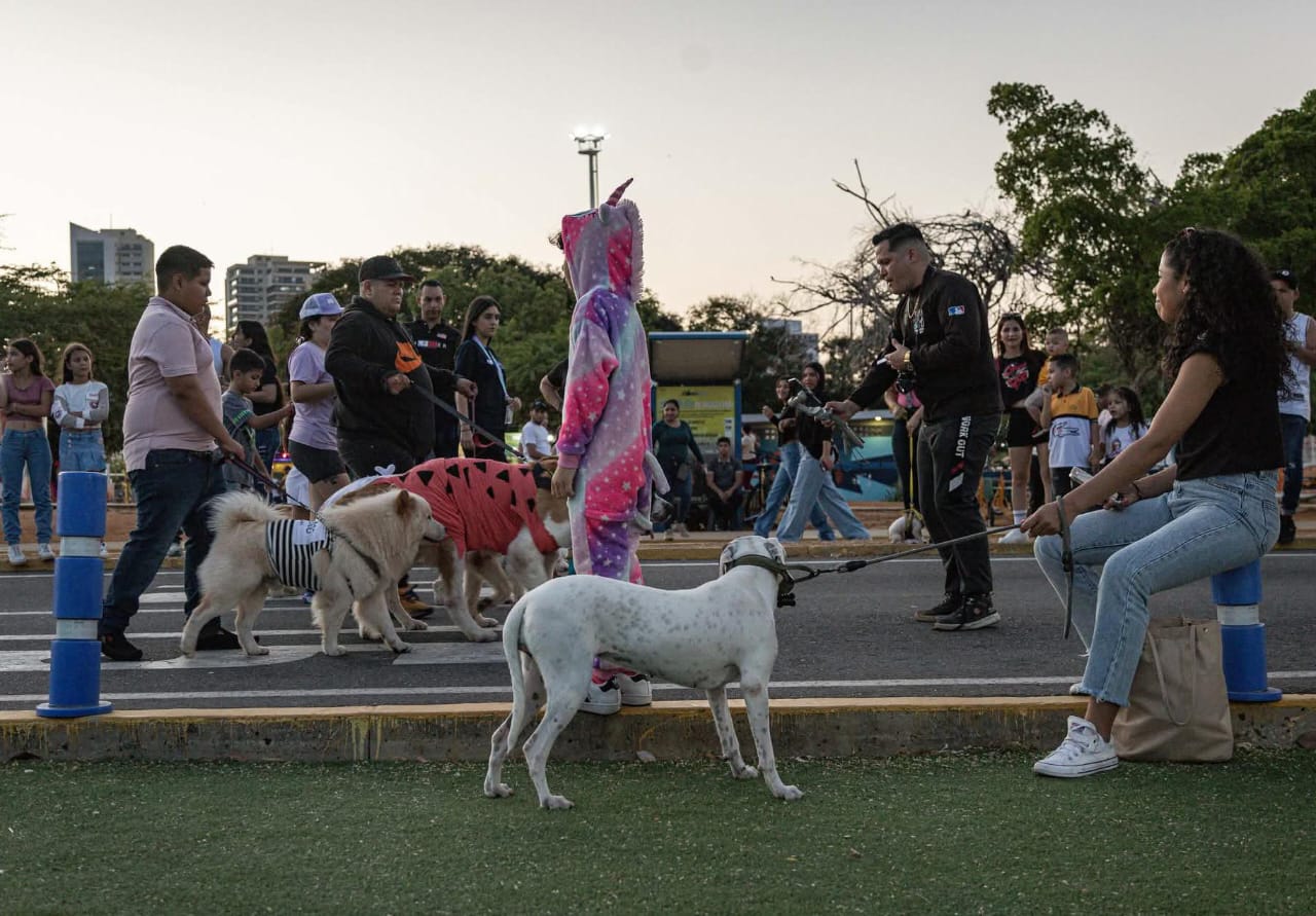 Domingo 6 de septiembre: Alcaldía de Maracaibo invita a la primera “Caminata en Manada” por el bienestar canino