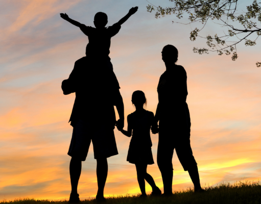 Salud Cardiovascular Familiar: Guía Completa para Prevenir Enfermedades y Promover Bienestar