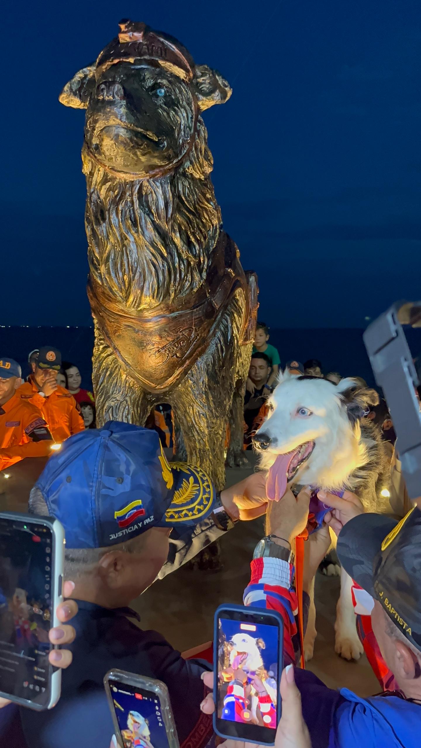 Alcalde Di Martino: Es un acto de heroísmo rescatar animales
