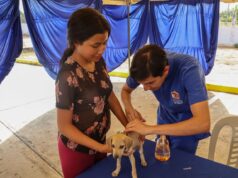 Maracaibo se suma a Castralat en el Día Mundial de los Animales