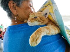 Crematorio y cementerio tendrán las mascotas en Maracaibo