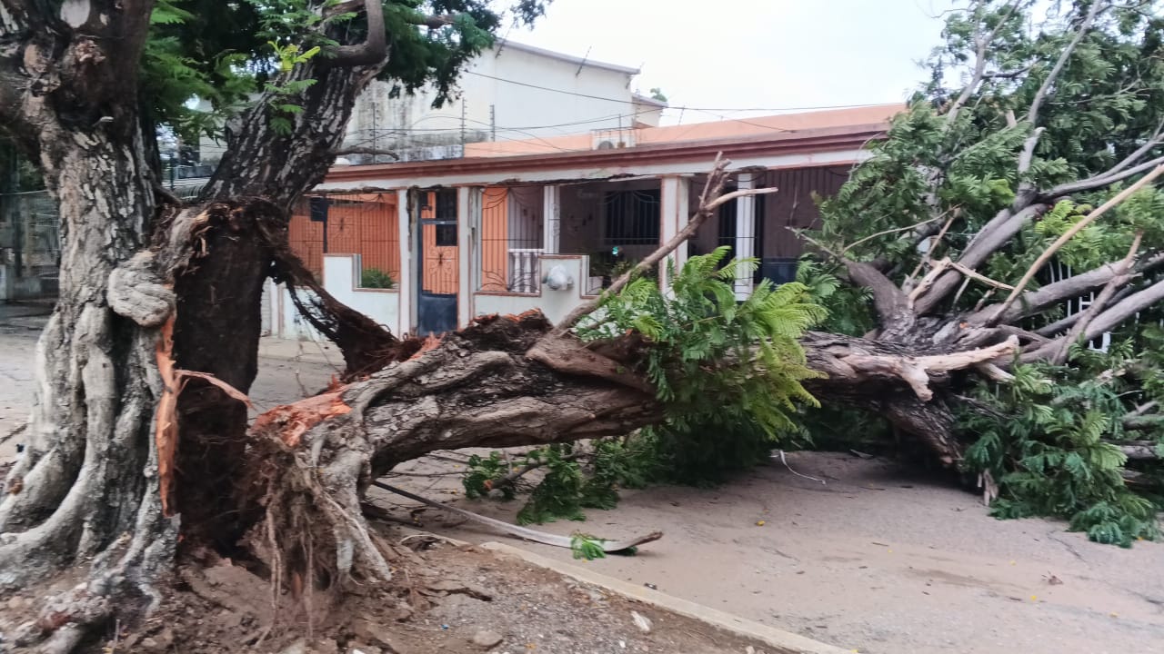 Alcalde Di Martino: «Ante la fuerte lluvia, activamos nuestro protocolo de emergencia»