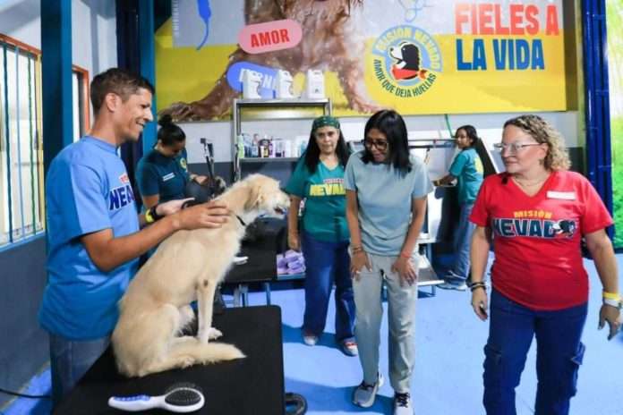 Presidenta Delcy reivindicó el derecho de la fauna a vivir en paz en el Día Mundial de los Animales