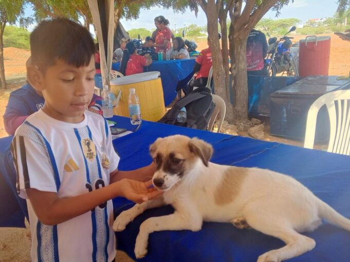 Proteccion-animal2